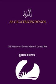 as_cicatrices_do_sol