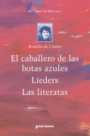 caballerobotasazules