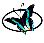 bolboreta3
